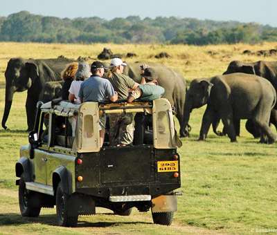 Special Tours in sri lanka